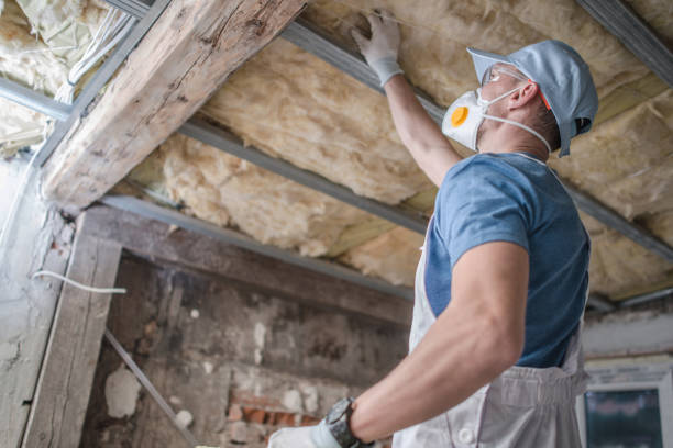 Best Insulation Installation Services in Oak Hill, TN